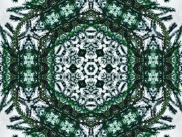 Blurry green leaves kaleidoscope background abstract flower and symmetric pattern for christmas vibes photo