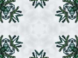Blurry green leaves kaleidoscope background abstract flower and symmetric pattern for christmas vibes photo