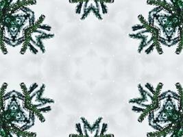 Blurry green leaves kaleidoscope background abstract flower and symmetric pattern for christmas vibes photo