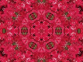 Red floral kaleidoscope background abstract unique and symmetric pattern for christmas vibes photo