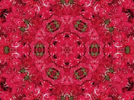 Red floral kaleidoscope background abstract unique and symmetric pattern for christmas vibes photo