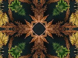 Black abstract kaleidoscope background with leaves ornament for christmas vibes pattern photo