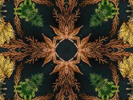 Black abstract kaleidoscope background with leaves ornament for christmas vibes pattern photo