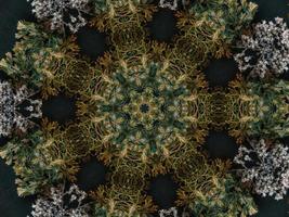 Black abstract kaleidoscope background with leaves ornament for christmas vibes pattern photo