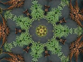 Black abstract kaleidoscope background with leaves ornament for christmas vibes pattern photo