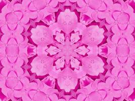 patrón de caleidoscopio floral magenta. flor rosa abstracta fondo único y estético foto