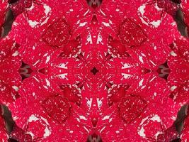 Red floral kaleidoscope background abstract unique and symmetric pattern for christmas vibes photo