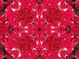 Red floral kaleidoscope background abstract unique and symmetric pattern for christmas vibes photo