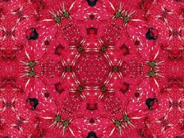 Red floral kaleidoscope background abstract unique and symmetric pattern for christmas vibes photo
