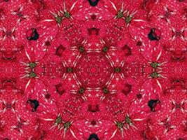 fondo de caleidoscopio floral rojo abstracto patrón único y simétrico para vibraciones navideñas foto