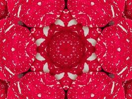 Red floral kaleidoscope background abstract unique and symmetric pattern for christmas vibes photo