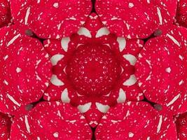 Red floral kaleidoscope background abstract unique and symmetric pattern for christmas vibes photo