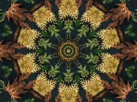 Black abstract kaleidoscope background with leaves ornament for christmas vibes pattern photo