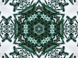 Blurry green leaves kaleidoscope background abstract flower and symmetric pattern for christmas vibes photo