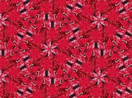 Red floral kaleidoscope background abstract unique and symmetric pattern for christmas vibes photo