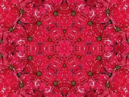 Red floral kaleidoscope background abstract unique and symmetric pattern for christmas vibes photo
