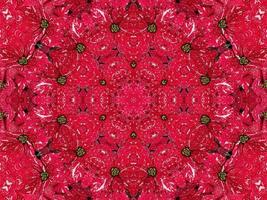 Red floral kaleidoscope background abstract unique and symmetric pattern for christmas vibes photo