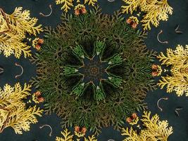 Black abstract kaleidoscope background with leaves ornament for christmas vibes pattern photo