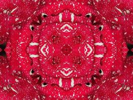 fondo de caleidoscopio floral rojo abstracto patrón único y simétrico para vibraciones navideñas foto