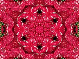Red floral kaleidoscope background abstract unique and symmetric pattern for christmas vibes photo