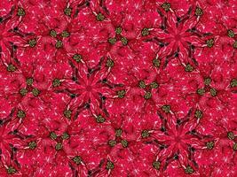 Red floral kaleidoscope background abstract unique and symmetric pattern for christmas vibes photo