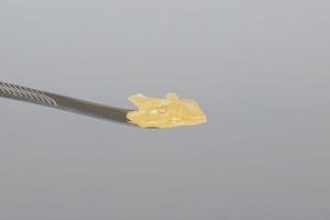 cannabis resin wax and dab tool for smoking close up on gray background photo