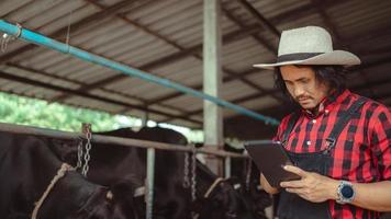 male farmer using tablet for checking on his livestock and quality of milk in the dairy farm .Agriculture industry, farming and animal husbandry concept ,Cow on dairy farm eating hay,Cowshed. photo