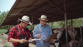 dos granjeros masculinos revisando su ganado y la calidad de la leche en la granja lechera. industria agrícola, concepto de agricultura y ganadería, vaca en la granja lechera comiendo heno, establo. foto