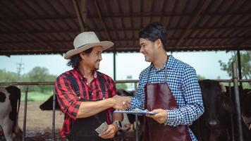 Farmer and worker shaking hands on the dairy farm,Agriculture industry, farming and animal husbandry concept ,Cow on dairy farm eating hay. Cowshed, small business photo