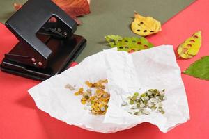 hole punch and leaves for making by hand confetti for the holiday, eco confetti from autumn and fresh leaves photo