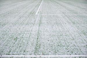 campo de fútbol, césped bajo la nieve, primera nevada sobre hierba, marcas de campo de fútbol foto