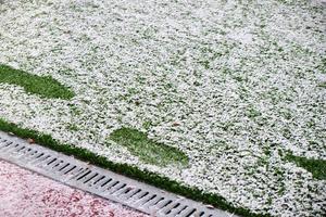 football field, lawn under snow, first snow on the grass, football field markings photo