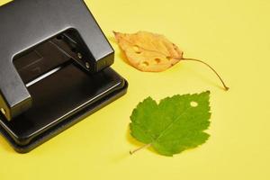 hole punch and autumn leaves on a yellow background, eco confetti from natural materials photo