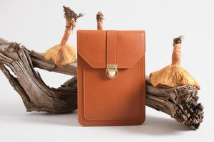 brown bag made of eco leather, driftwood and toadstools mushrooms on a gray background, leather from mushroom photo