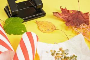 confeti de materiales naturales, estilo de vida sin residuos, confeti de hojas de otoño ecológico con un perforador foto