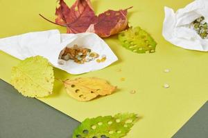 confetti from natural materials, zero waste lifestyle concept, eco friendly confetti from autumn leaves photo