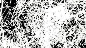 Tangled white fibers in the form of a moving web on black video