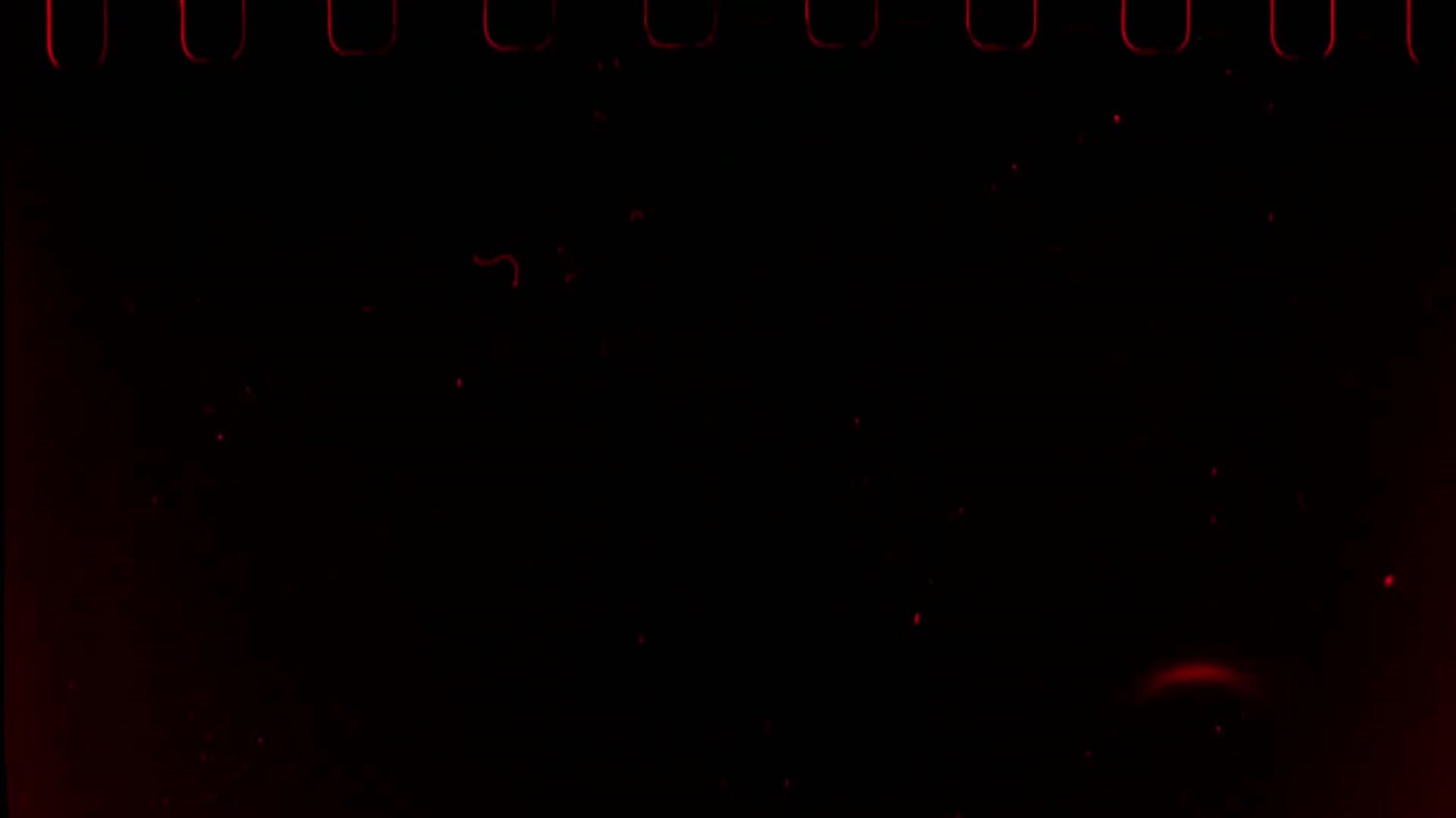 Film Reel Overlay Stock Video Footage for Free Download