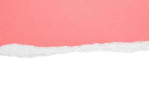 tiras de bordes rasgados de papel rasgado rosa aisladas sobre fondo blanco foto
