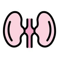 Body kidney icon color outline vector