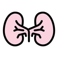 Kid kidney icon color outline vector