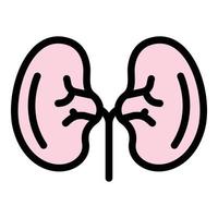 Adrenal kidney icon color outline vector