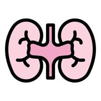 Urinary kidney icon color outline vector