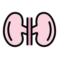 Medical kidney icon color outline vector