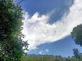 beautiful view clear blue sky and lots of natural green trees photo