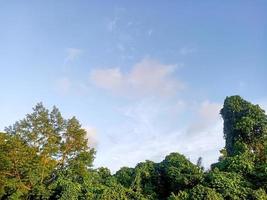 beautiful view clear blue sky and lots of natural green trees photo