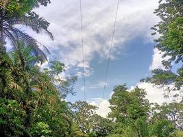 hermosa vista cielo azul claro y muchos árboles verdes naturales foto