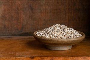 Uncooked Pearled Barley in a Bowl photo