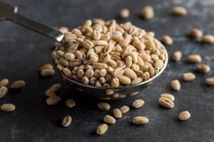 Uncooked Pearled Barley on a Spoon photo
