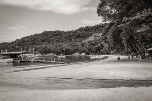 Mangrove and Pouso beach on tropical island Ilha Grande Brazil. photo